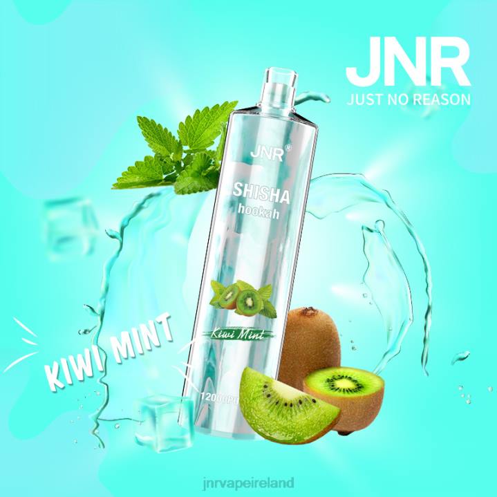 Kiwi Mint JNR vape Dublin 6X8L169 JNR SHISHA