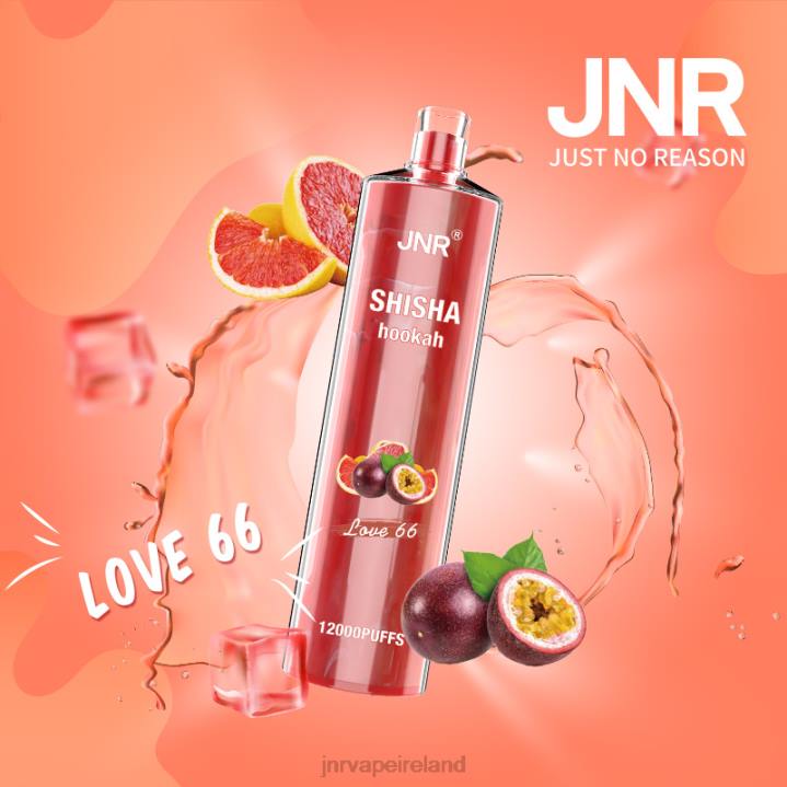 Love 66 JNR vape shop 6X8L181 JNR SHISHA