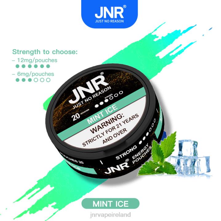 Mint Ice JNR vape 6X8L103 JNR ENERGY POUCHES