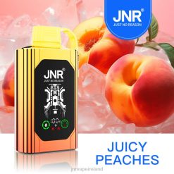 Juicy Peaches JNR vape price HTVV84 JNR SHISHA BOX