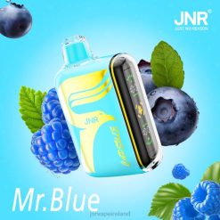 Mr.Blue JNR vape Dublin HTVV64 JNR CAPSULE