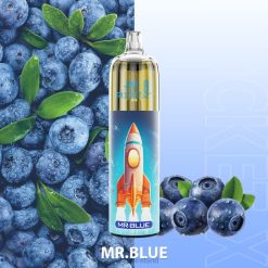 Mr.Blue JNR vapes factory 6X8L113 JNR ROCKET-X